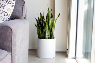 Root And Stock Brea Round Cylinder Planter, Grey, D:12" X H:12"