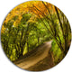 Country Lane In Green Forest, Round Wall Art Landscape, 11"