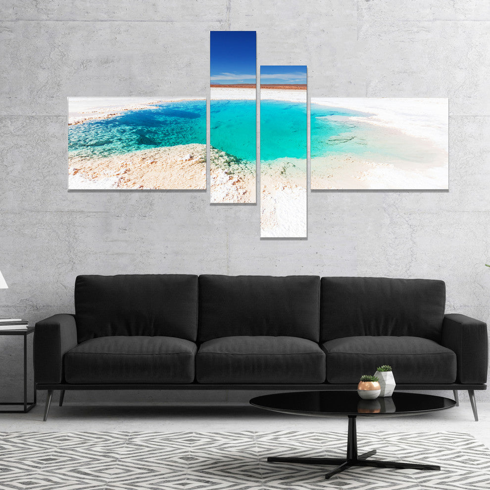 Beautiful Salinas Lake in Argentina, Landscape Canvas Art, 60"x32", 4 panels