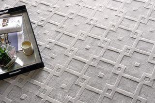 Camora Modern Handloomed Silky Nylon Light Silver Area Rug, 12'x15'
