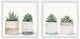 Fleshy Succulent Leaves Diptych, 2-Piece Set, 32x32 Panels