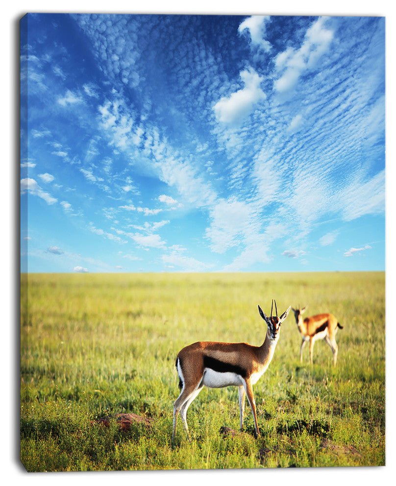 Antelopes Wandering under Bright Sky, African Canvas Art Print, 12"x20"
