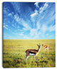Antelopes Wandering under Bright Sky, African Canvas Art Print, 12"x20"