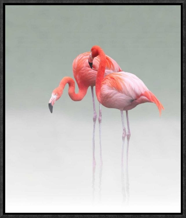 "Just We Two" Framed Canvas Giclee by Anna Cseresnjes, 14x17"