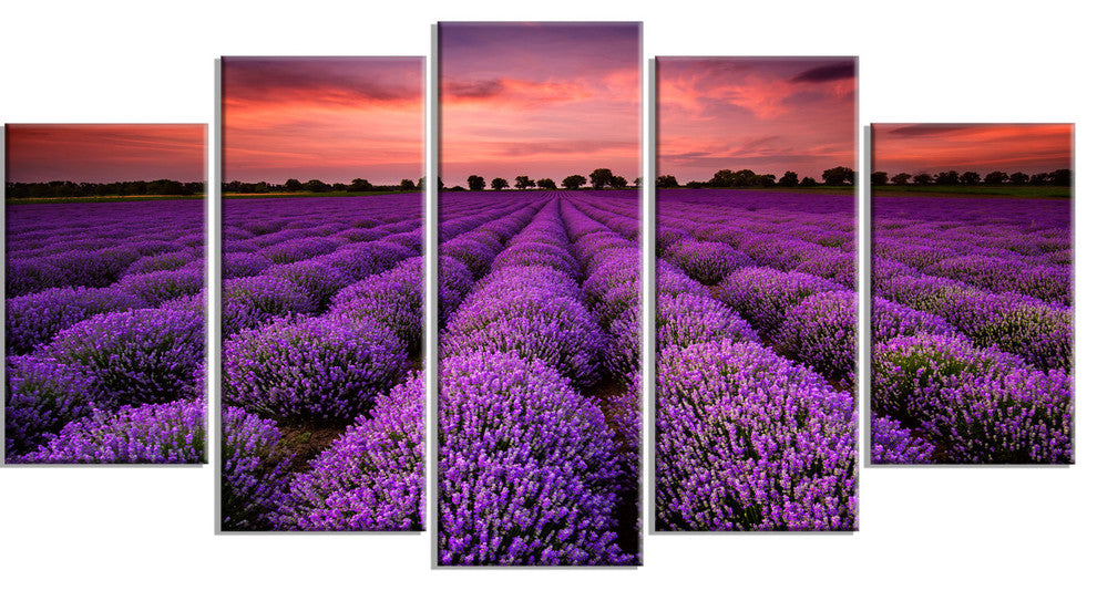 "Red Sunset Over Lavender Field" Wall Art Landscape, 5 Panels, 60"x32"