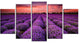 "Red Sunset Over Lavender Field" Wall Art Landscape, 5 Panels, 60"x32"