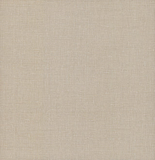 Gesso Weave Wallpaper, Sand
