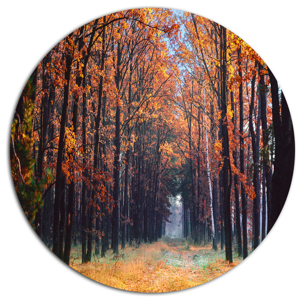 Alley In The Dense Autumn Forest, Forest Disc Metal Artwork, 23"