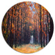Alley In The Dense Autumn Forest, Forest Disc Metal Artwork, 23"