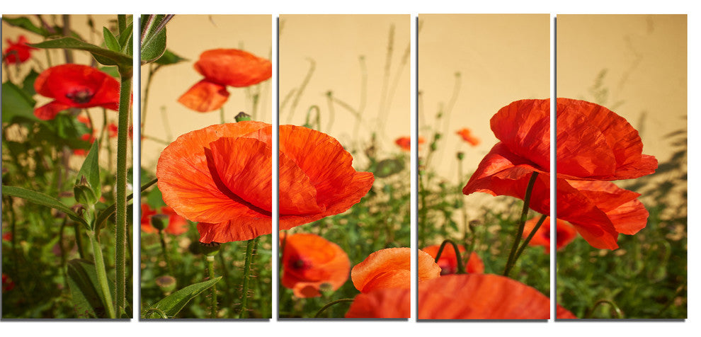 Colorful Red Poppy Flower Field, Flower Artwork on Canvas, 60"x28", 5 Panels