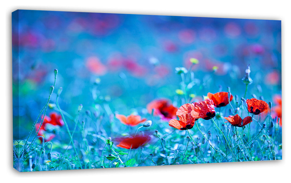 Poppy Flowers Field At Night, Floral Canvas Art Print, 32"x16"