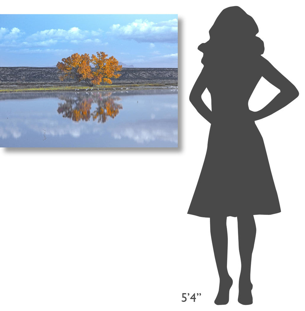 "Cottonwood and Cranes, autumn foliage, New Mexico" Paper Art, 40"x30"