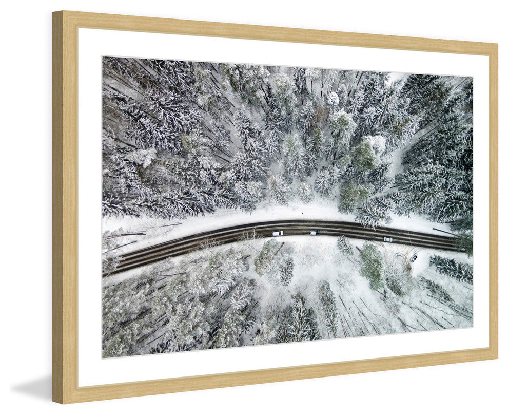 "Icy Firs" Framed Print by Karolis Janulis