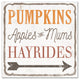Fall This Way 12x12 Canvas Wall Art