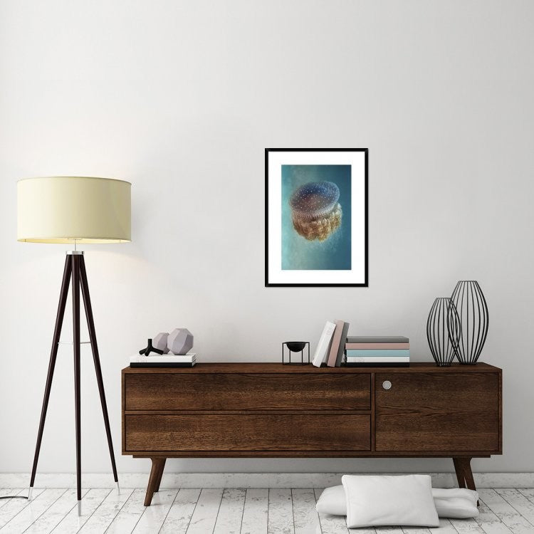 "Jellyfish Phylorhiza Punctata" Framed Digital Print by Yaron Halevy, 24x32"
