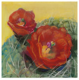 Carol Rowan 'Blooming Succulent I' Canvas Art