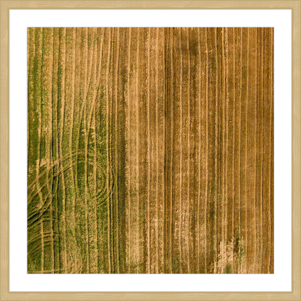 "Crop Trails" Framed Print by Karolis Janulis