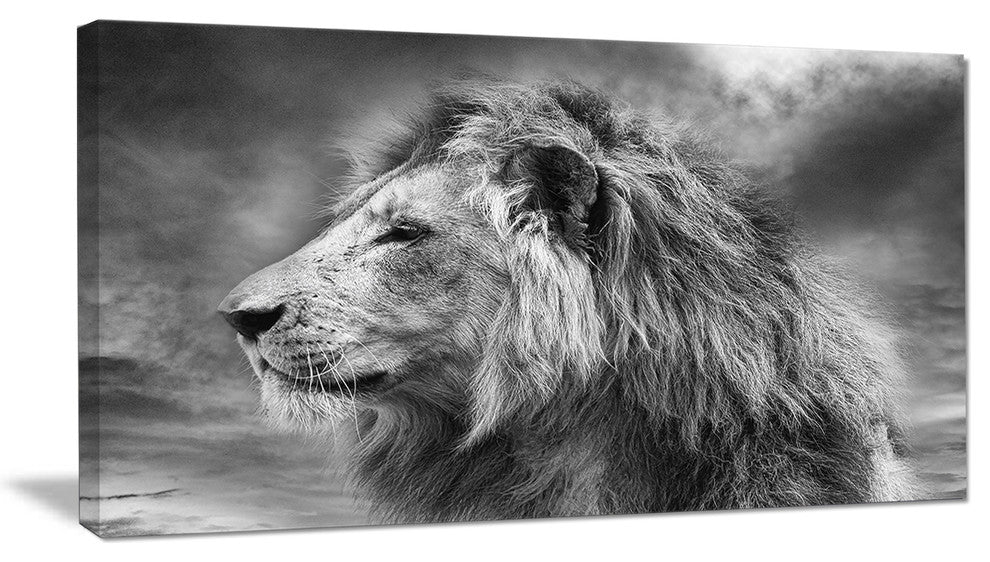 Gray Wild African Lion, Animal Canvas Art Print, 32"x16"