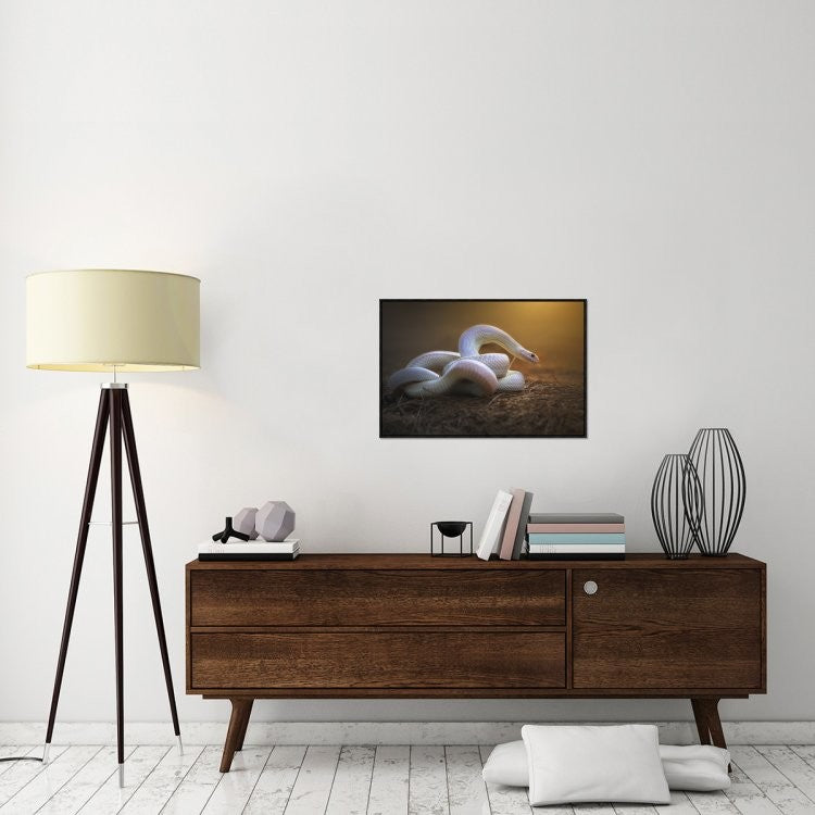 The White Legend, 30"x20"