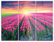 "Blooming Tulips at Sunrise" Photo Metal Wall Art, 3 Panels, 36"x28"