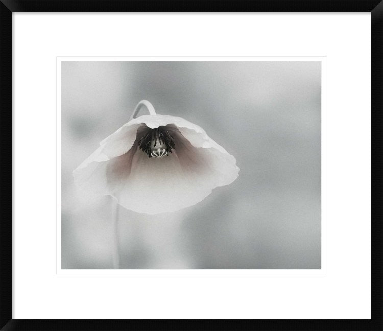 "Ephemeral Beauty" Framed Digital Print by Piet Flour, 24x20"