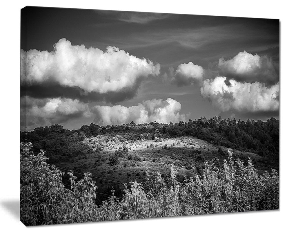 "Green Hills Under Cloudy Sky" Extra Large Wall Art Landscape, 20"x12"