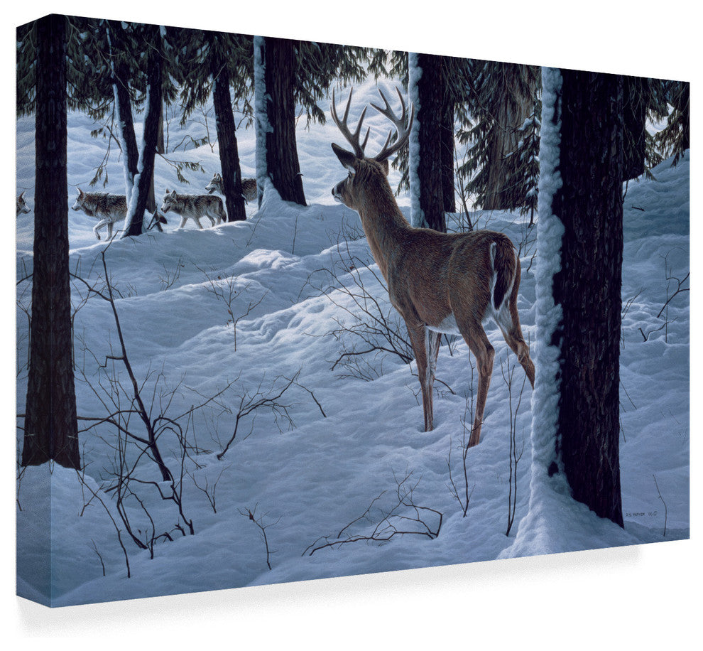 Ron Parker ''Whitetail And Wolves'' Canvas Art, 47"x30"