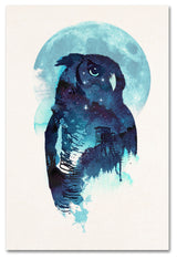 Robert Farkas 'Midnight Owl' Canvas Art, 32x22