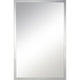 Asset Wall Mirror, Clear