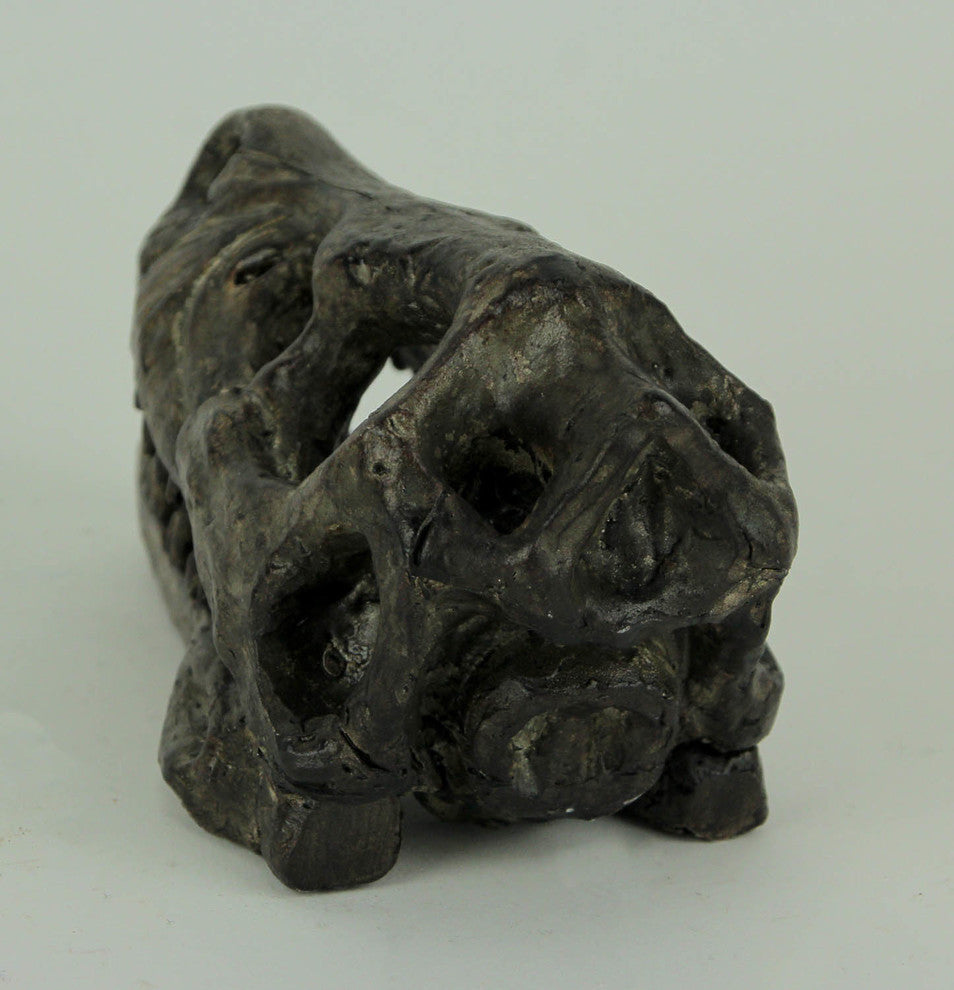 Velociraptor Dinosaur Head Fossil Statue Small