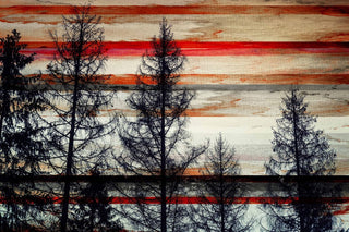 "Trees Against Red Striped Sky" Fine Art Canvas Print, 18"x12"