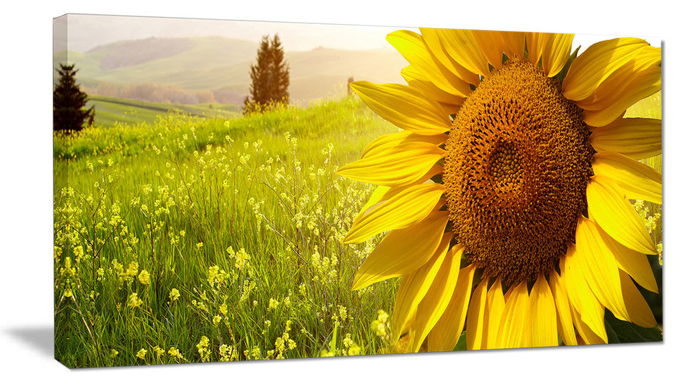 "Yellow Field With Big Sunflower" Landscape Art Canvas Print, 32"x16"