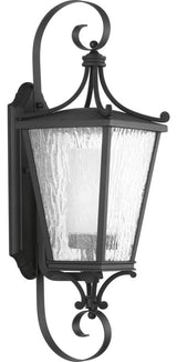 Cadence Collection Black 1-Light Medium Wall Lantern