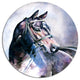 Black Horse With Bridle, Animal Round Wall Art, 23"