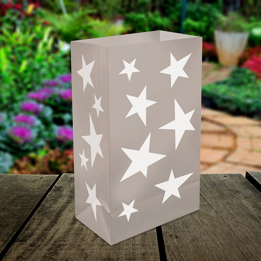 Battery Operated Luminaria Kit With Timer, Silver Stars, 12-Piece Set