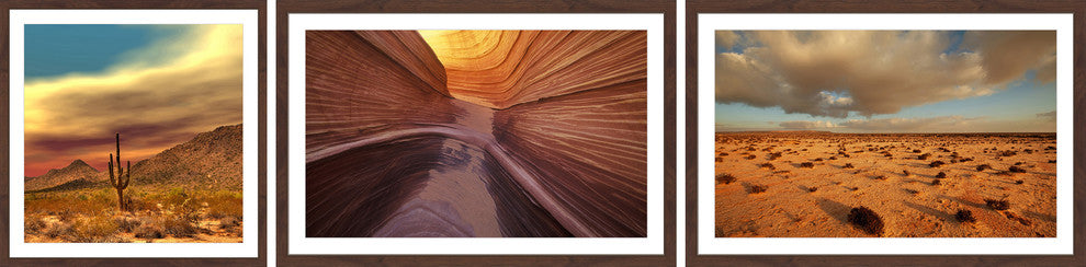 Desert Views Triptych, 48x12