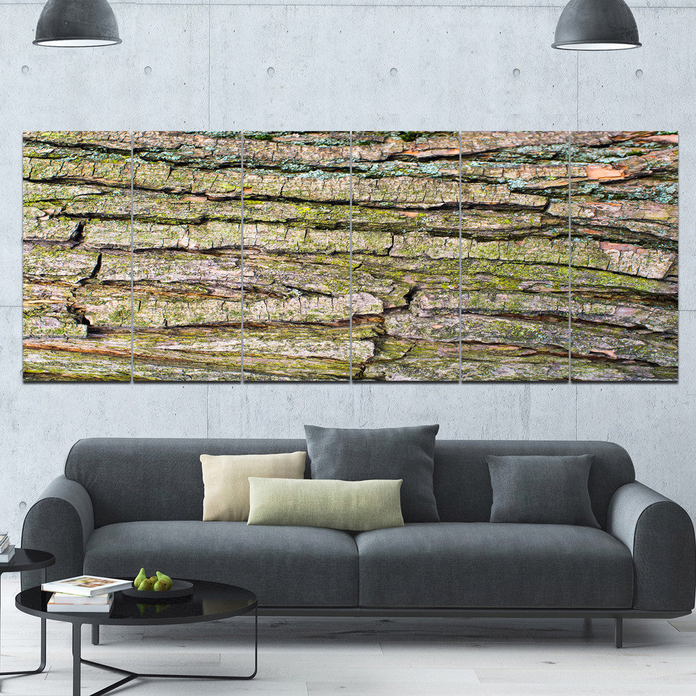 Thick Tree Skin Close Up, Floral Canvas Art Print, 70"x28", 6 Panels