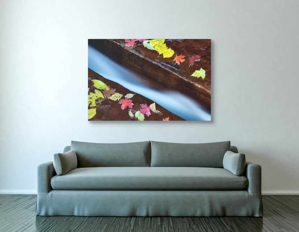 Epic Graffiti "A Cut in the Terrace" Giclee Canvas Wall Art, 40"x60"