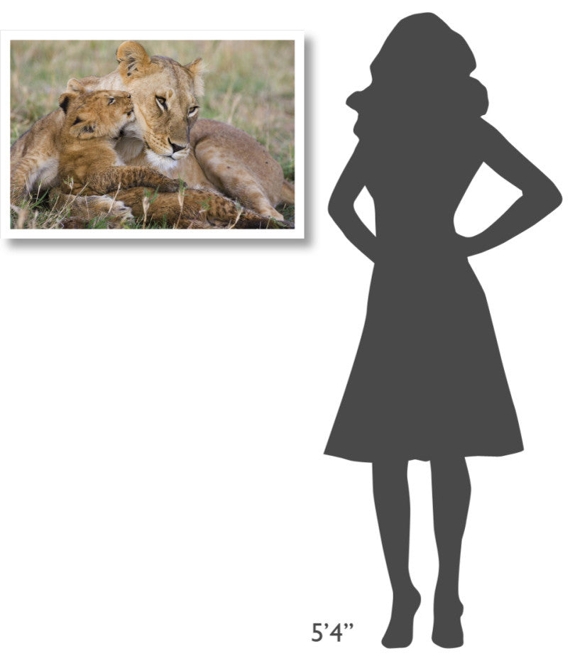 "Lion mother and young cubs, Masai Mara National Reserve" Paper Art, 32"x22"