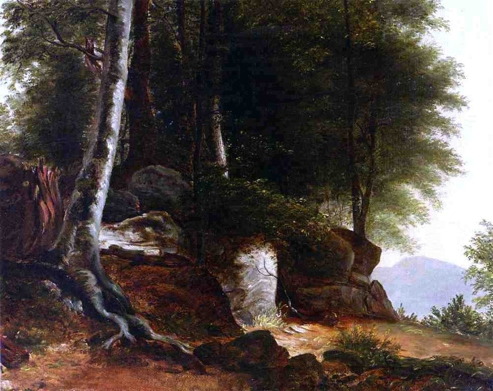 Asher Brown Durand A Study from Nature, Gallery Wrapped Canvas Print, 20"x25"
