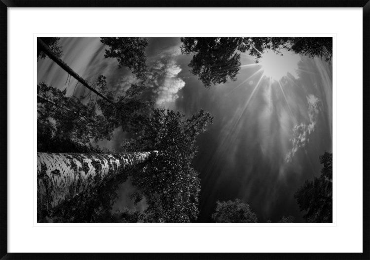 "Dreaming Before The Thunder" Framed Digital Print by Mikael Jigmo, 38"x26"