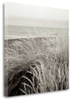 "Tuscan Coast Dunes - 2" By Alan Blaustein, Giclee Print on Gallery Wrap Canvas
