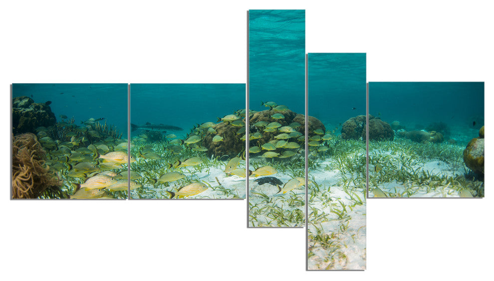 School of Grunts with Baracuda, Seashore Canvas Art Print, 60"x32", 5 panels