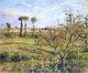 Camille Pissarro Sunset at Valhermeil near Pontoise Wall Decal