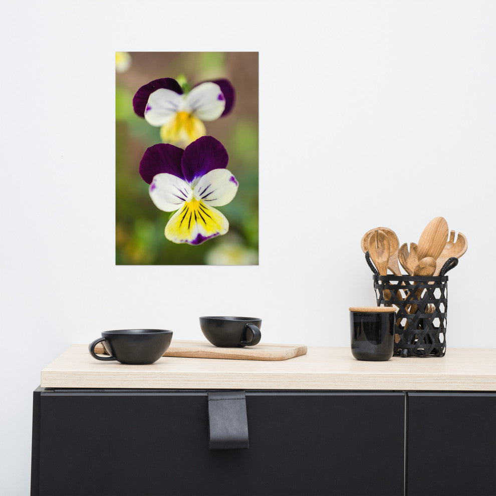 Pretty Little Violets Floral / Botanical Photograph Unframed Wall Art Prints, 12" X 18"