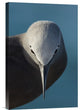 "I Bow" Stretched Canvas Giclee by Mathilde Guillemot, 12x18"