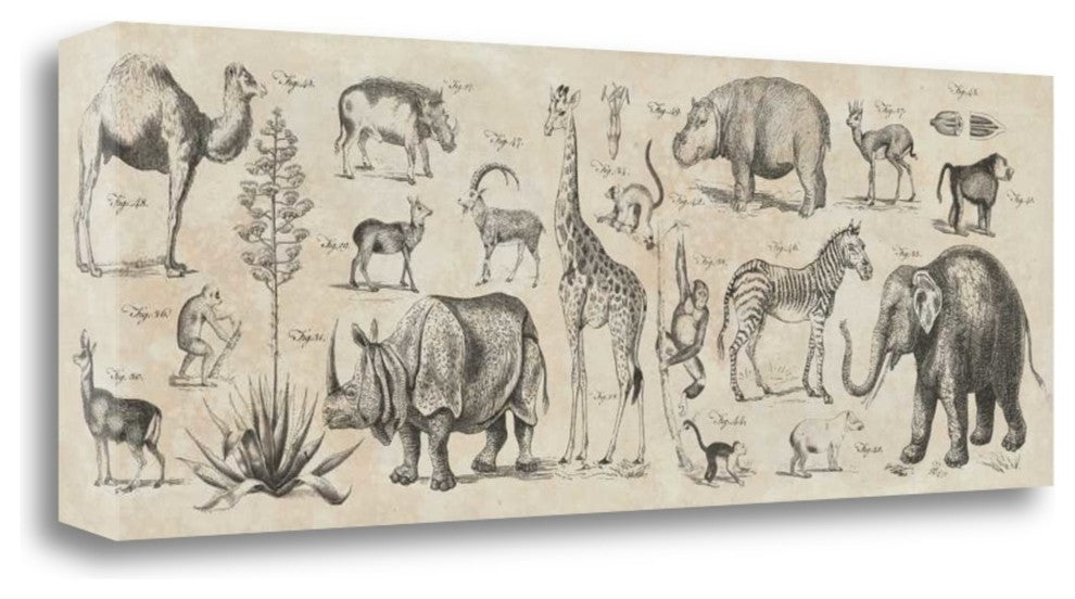 "Wild Africa" By Wild Apple Portfolio, Giclee Print on Gallery Wrap Canvas