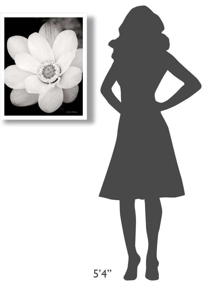 "Lotus Flower III" Digital Paper Print by Debra Van Swearingen, 22"x26"