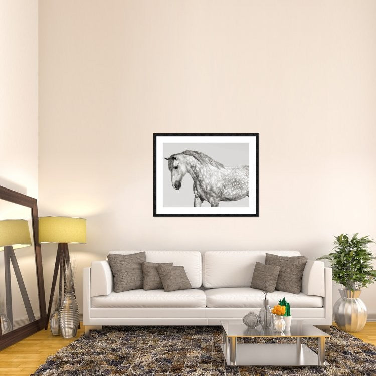 "Leia, Andalusian Pony" Framed Digital Print by Pangea Images, 48x38"