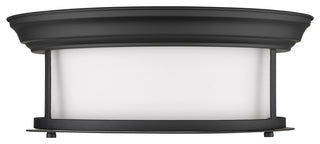 Z-Lite 2011F13 Sonna 2 Light 13-1/2"W Flush Mount Drum Ceiling - Matte Black